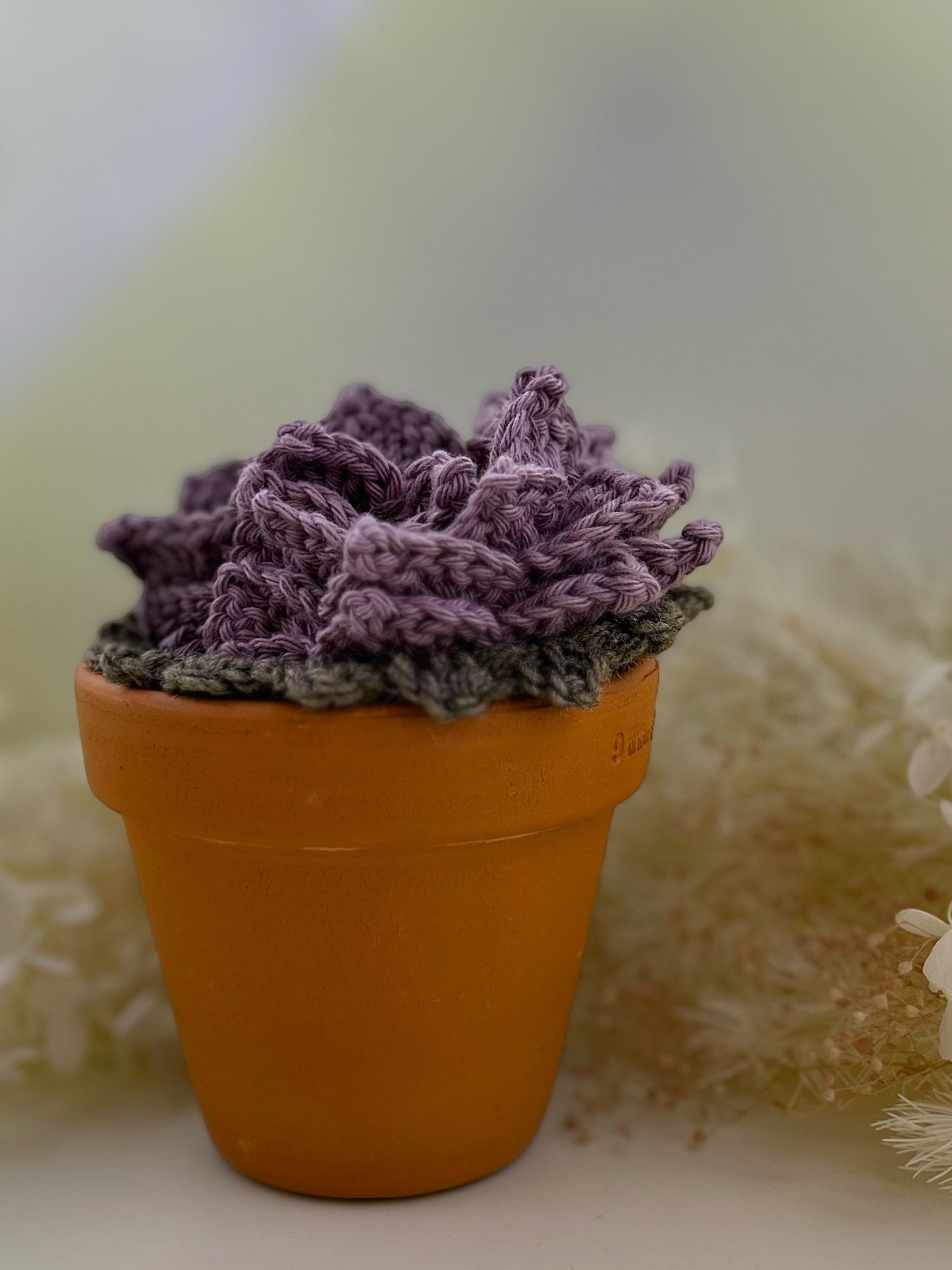 Crochet Coaster Pot Plant - Purple