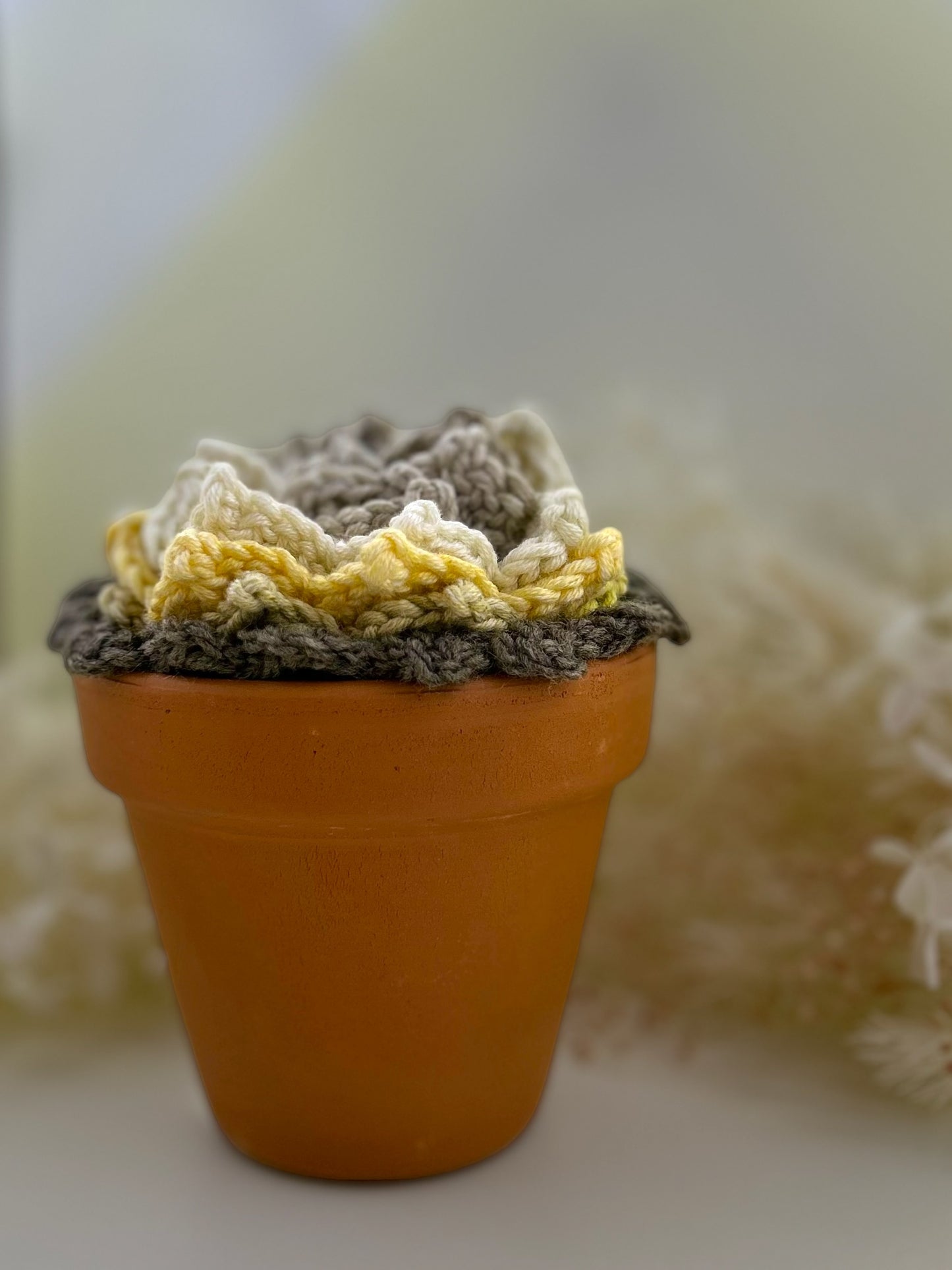 Crochet Coaster Pot Plant - Multicoloured