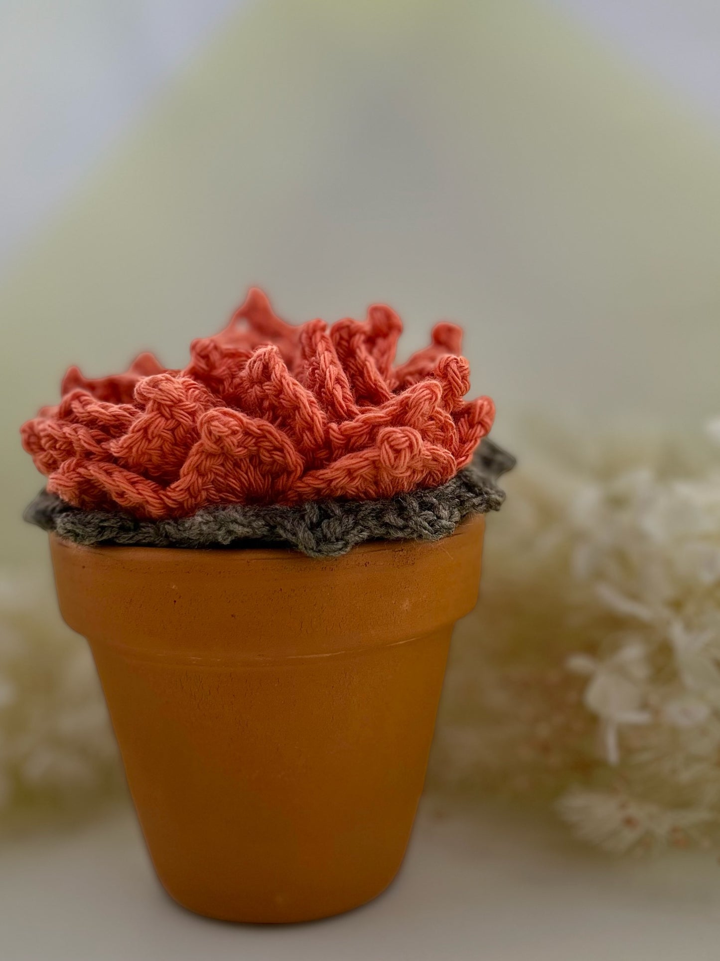 Crochet Coaster Pot Plant - Orange
