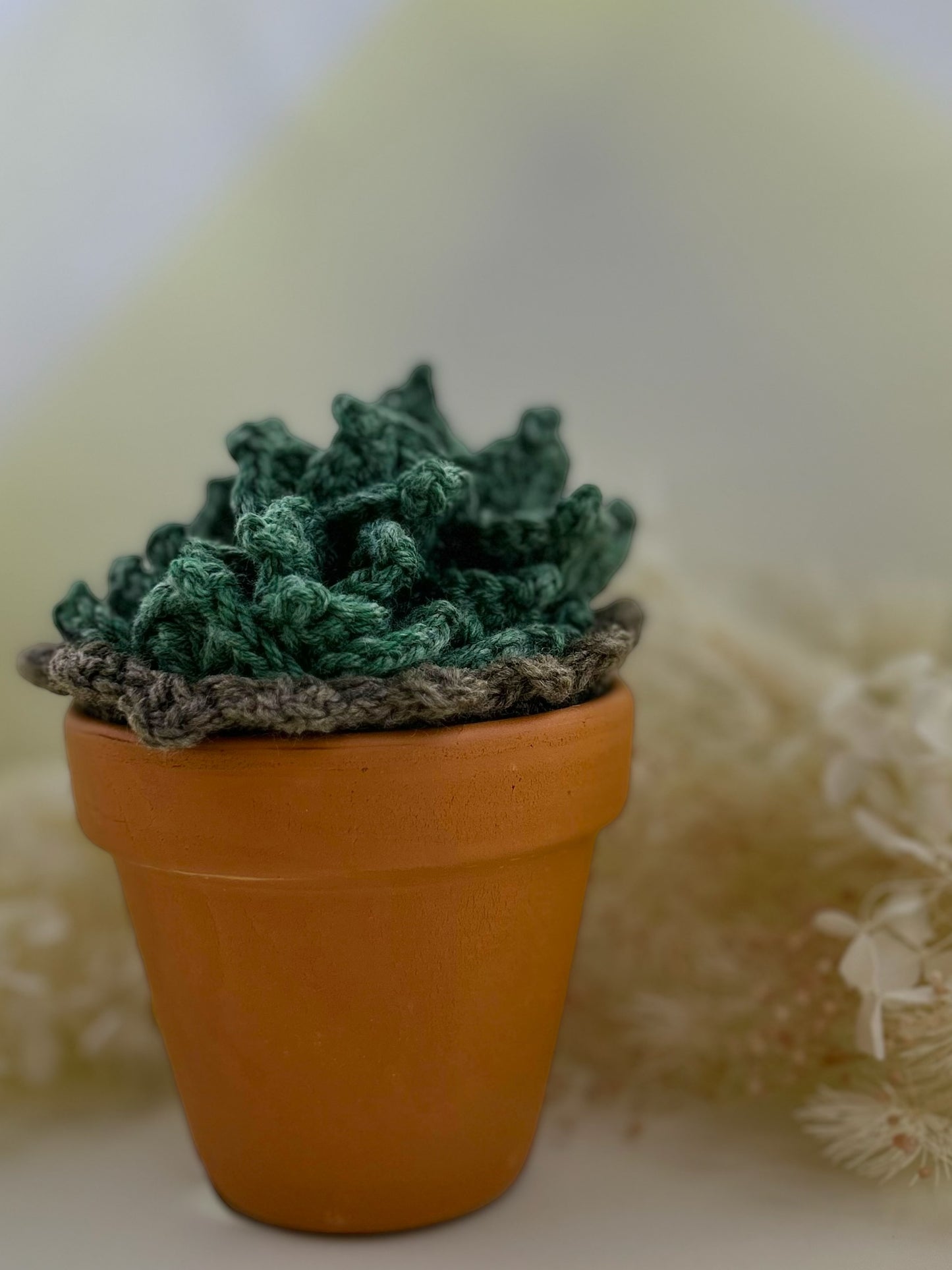 Crochet Coaster Pot Plant - Green